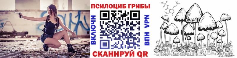 Галлюциногенные грибы Cubensis  Купить  Белёв 